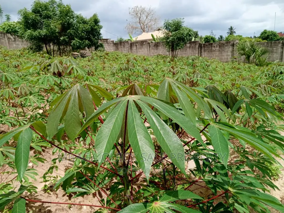 Kiwanja Kinauzwa Kipo Mbezi Kimara