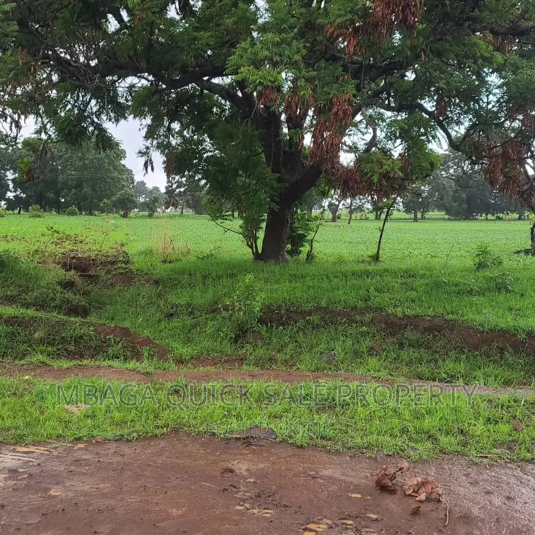 Plot Inauzwa Ipo Tunduma Tanzania