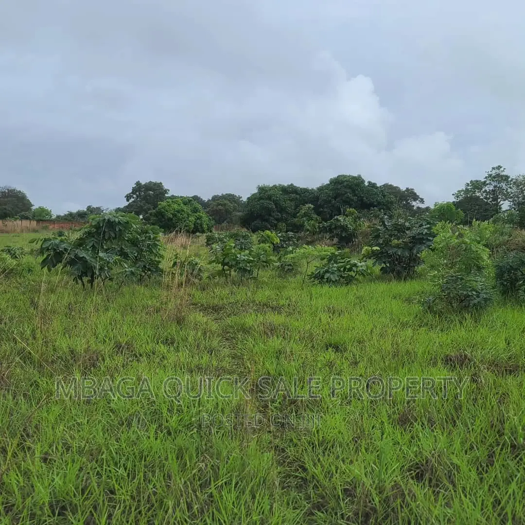 Plot Inauzwa Ipo Tunduma Tanzania