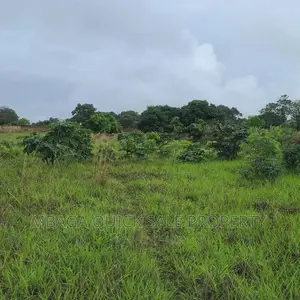 Plot Inauzwa Ipo Tunduma Tanzania