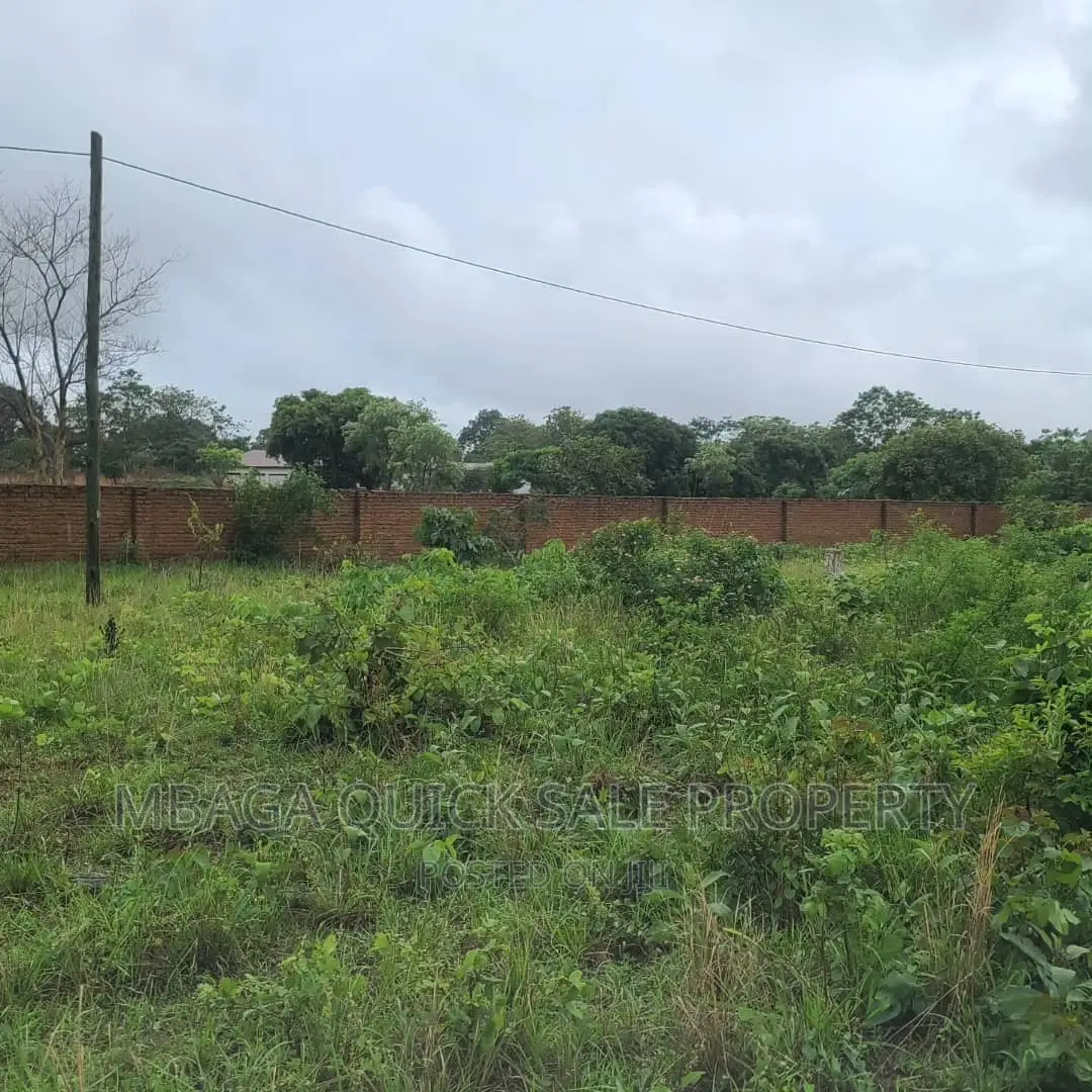 Plot Inauzwa Ipo Tunduma Tanzania