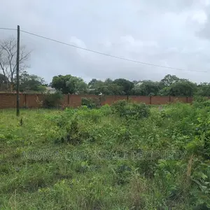 Plot Inauzwa Ipo Tunduma Tanzania