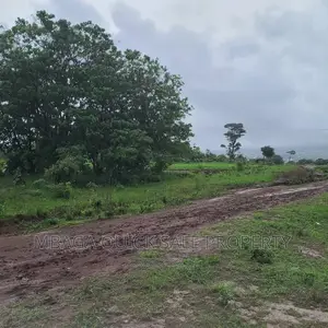 Plot Inauzwa Ipo Tunduma Tanzania