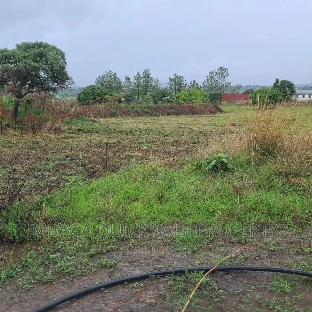 Plot Inauzwa Ipo Tunduma Tanzania