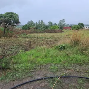 Plot Inauzwa Ipo Tunduma Tanzania