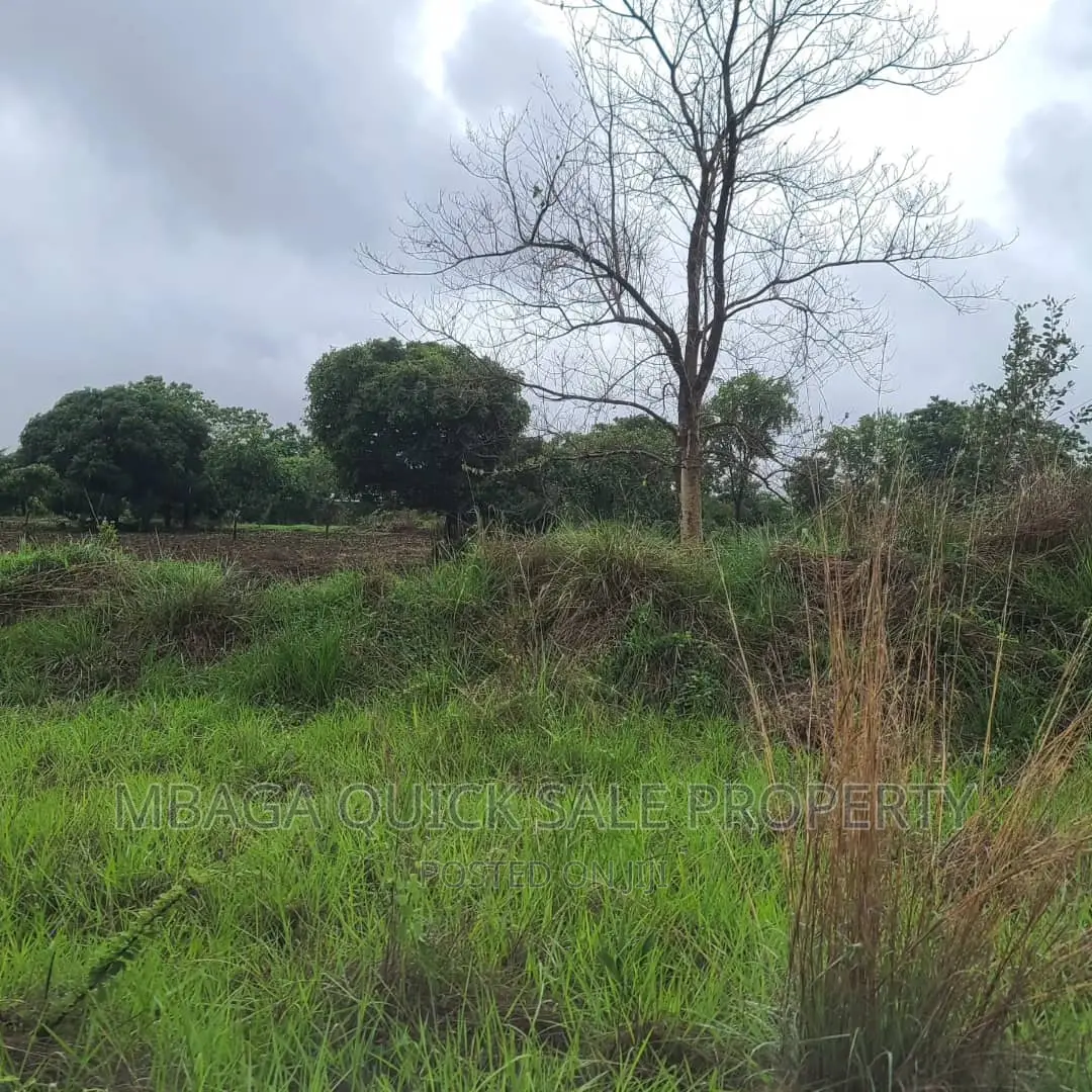 Plot Inauzwa Ipo Tunduma Tanzania