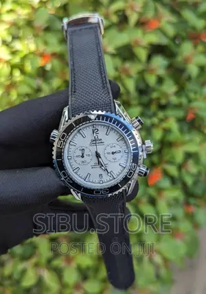 Omega Watch Professional