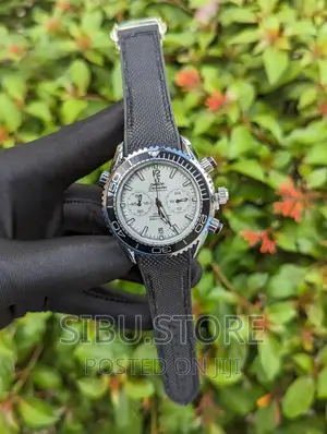 Omega Watch Professional