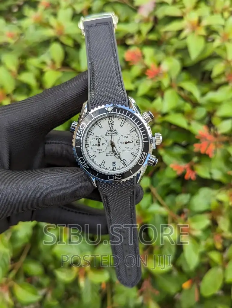 Omega Watch Professional