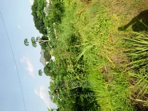 Plot for Sale Kibaha Kwa Mfipa