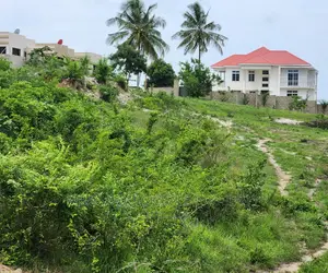 Plot Inaizwa Ipo Goba Kulangwa
