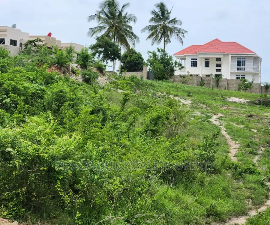 Plot Inaizwa Ipo Goba Kulangwa