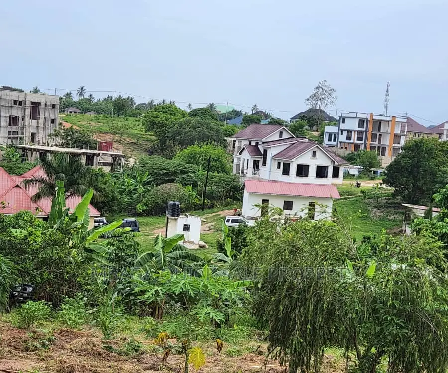 Plot Inaizwa Ipo Goba Kulangwa