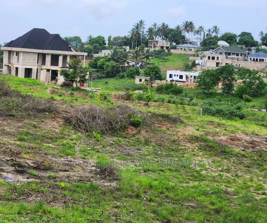 Plot Inaizwa Ipo Goba Kulangwa