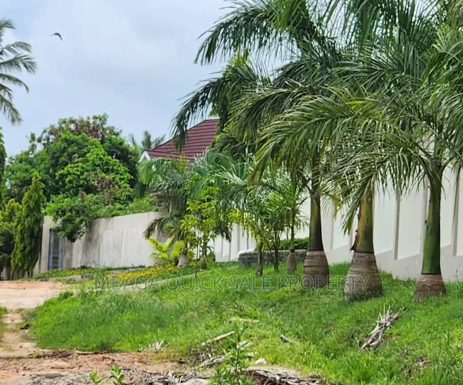 Plot Inaizwa Ipo Goba Kulangwa