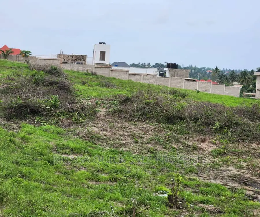 Plot Inaizwa Ipo Goba Kulangwa