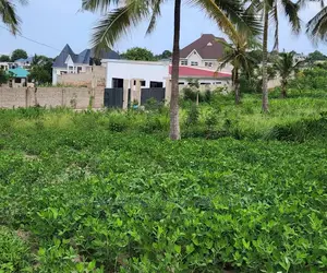 Big Plot for Sale at Goba Kulangwa