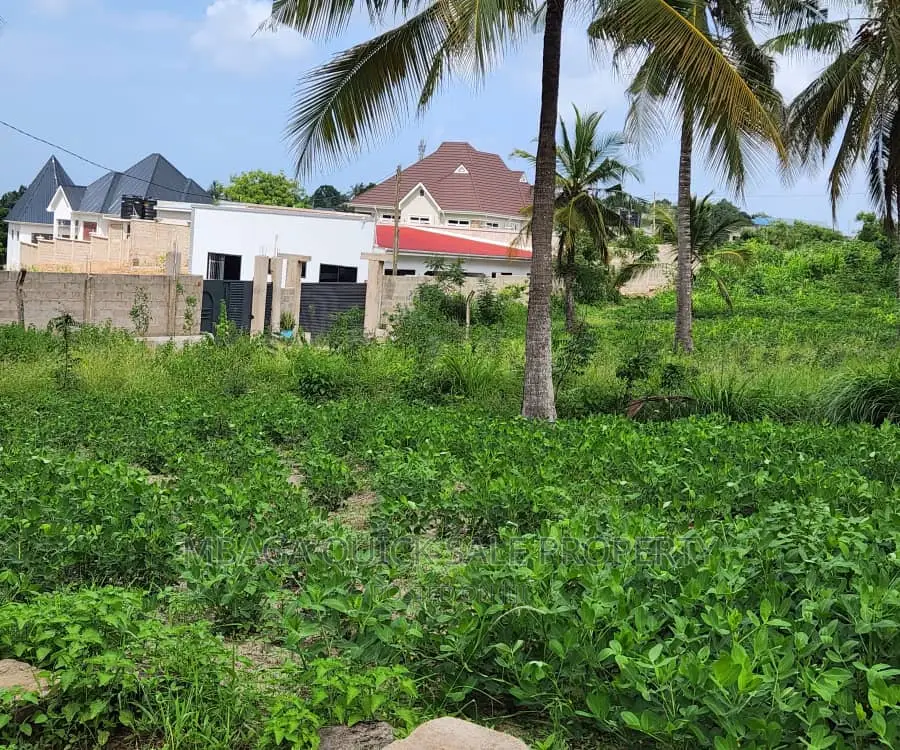 Big Plot for Sale at Goba Kulangwa