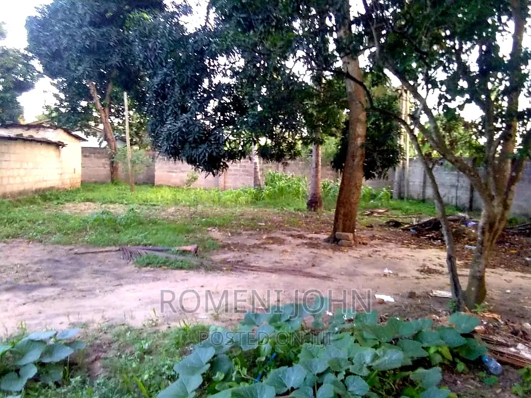 Eneo Sqmita 2000 La Kibiashara Linauzwa Ml 145 Kibaha/Matias