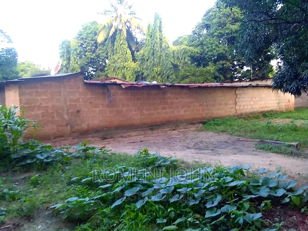 Eneo Sqmita 2000 La Kibiashara Linauzwa Ml 145 Kibaha/Matias