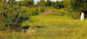 Big Plot for Sale Along the Main Road at Chalinze With 3 Acr