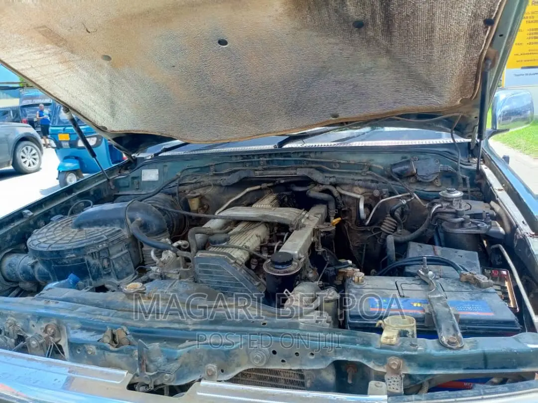 Toyota Land Cruiser 1999 Blue