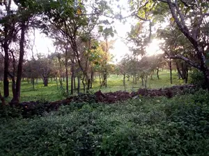 Land for Sale in USA River-Arusha Listing