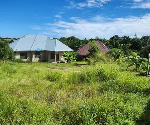 Plot for Sale Kulangwa Goba