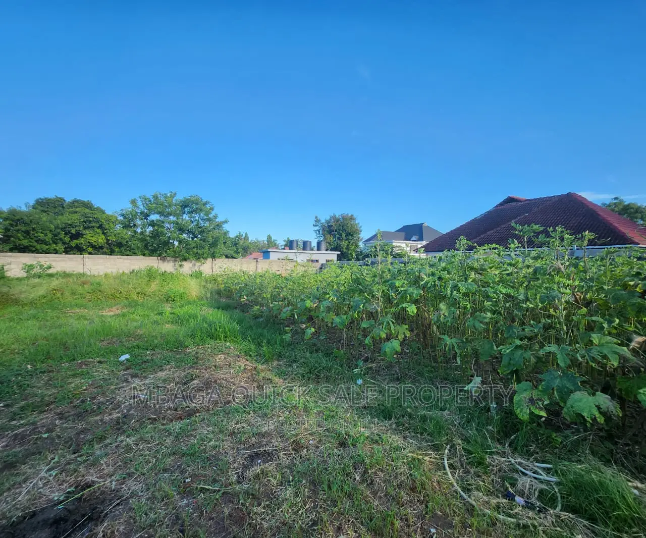 Big Plot for Sale at Salasala Good Location