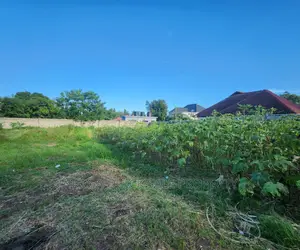 Big Plot for Sale at Salasala Good Location
