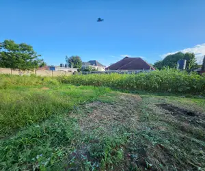 Big Plot for Sale at Salasala Good Location