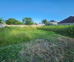 Big Plot for Sale at Salasala Good Location