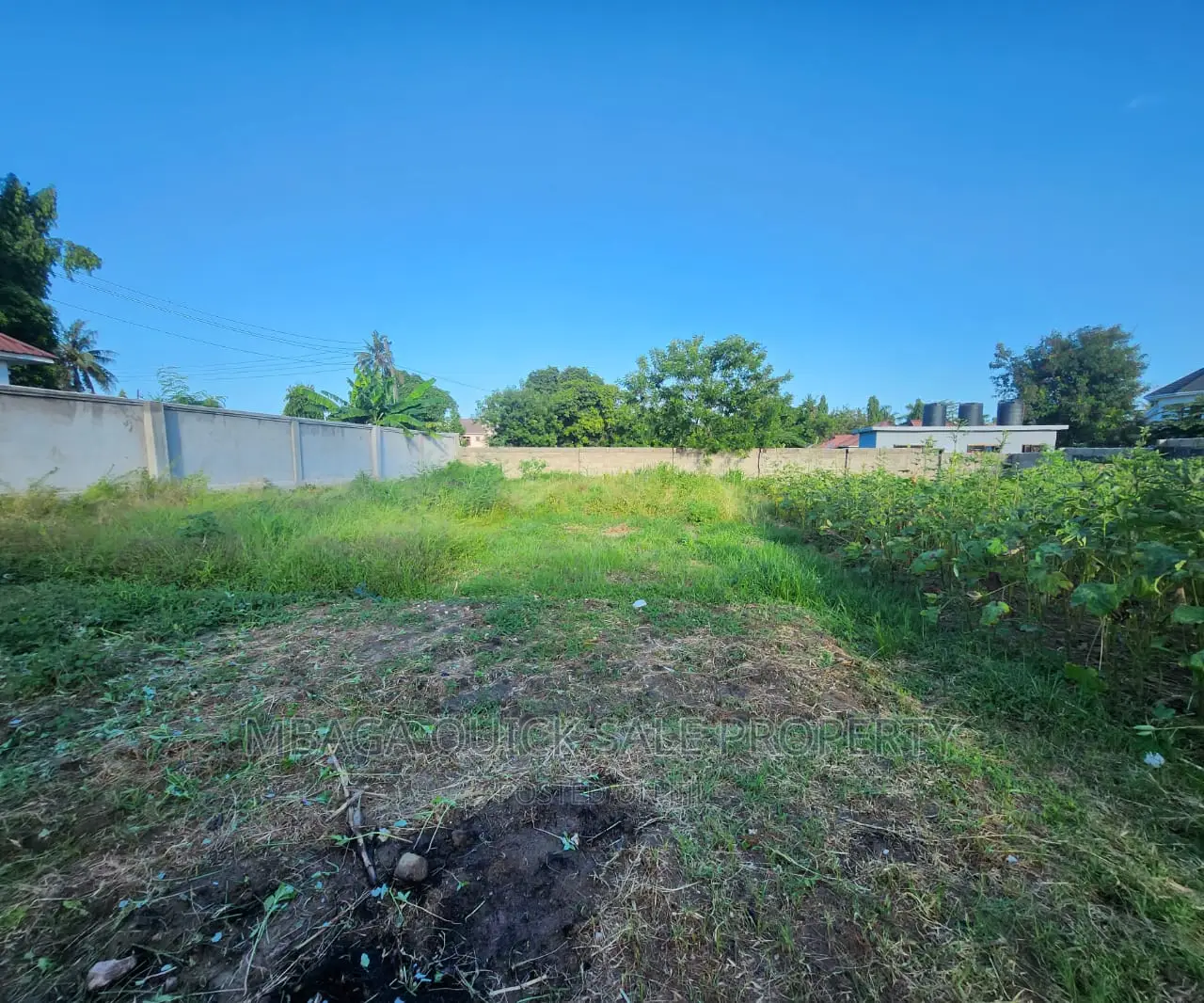Big Plot for Sale at Salasala Good Location