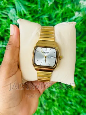 Casio Watch