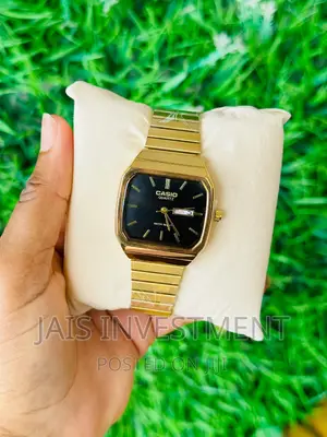 Casio Watch