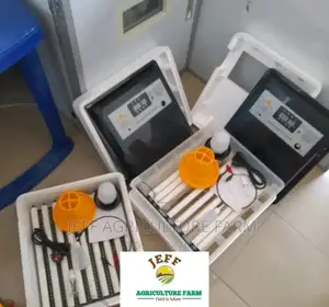 60,30eggs Incubator Machine