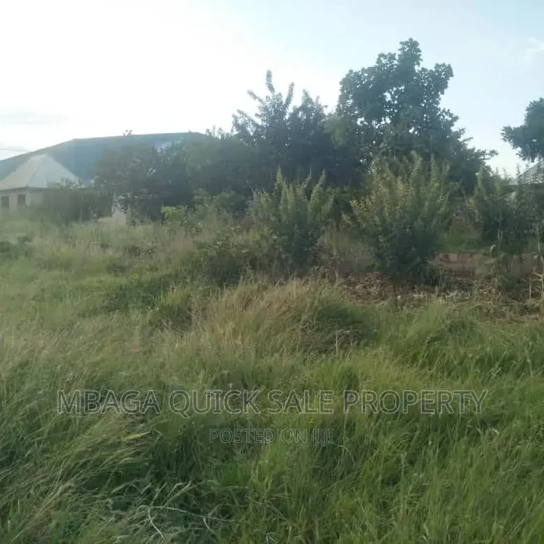 Plot for Sale at Chalinze Lugoba