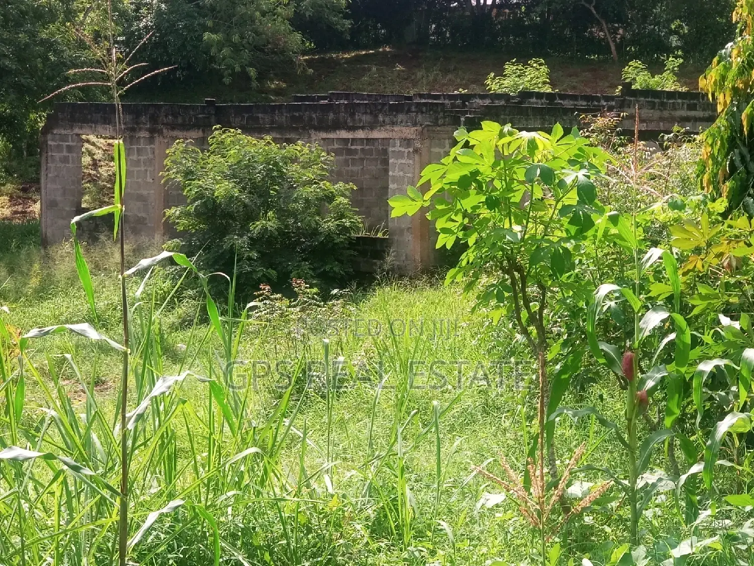 Plot for Sale at Mbezi Louis ( Mbezi Mwisho Magufuli Stand )