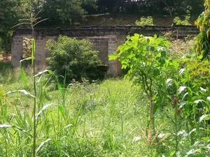 Plot for Sale at Mbezi Louis ( Mbezi Mwisho Magufuli Stand )