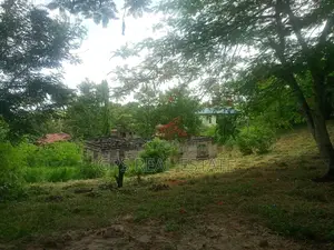 Plot for Sale at Mbezi Louis ( Mbezi Mwisho Magufuli Stand )