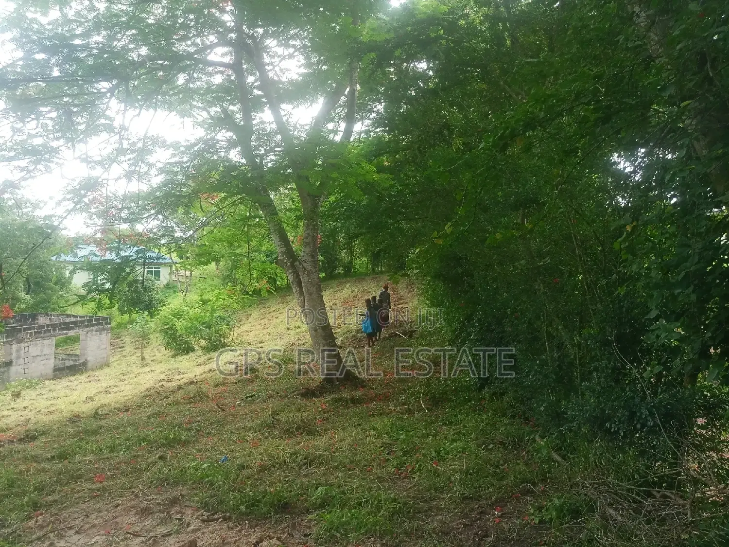 Plot for Sale at Mbezi Louis ( Mbezi Mwisho Magufuli Stand )