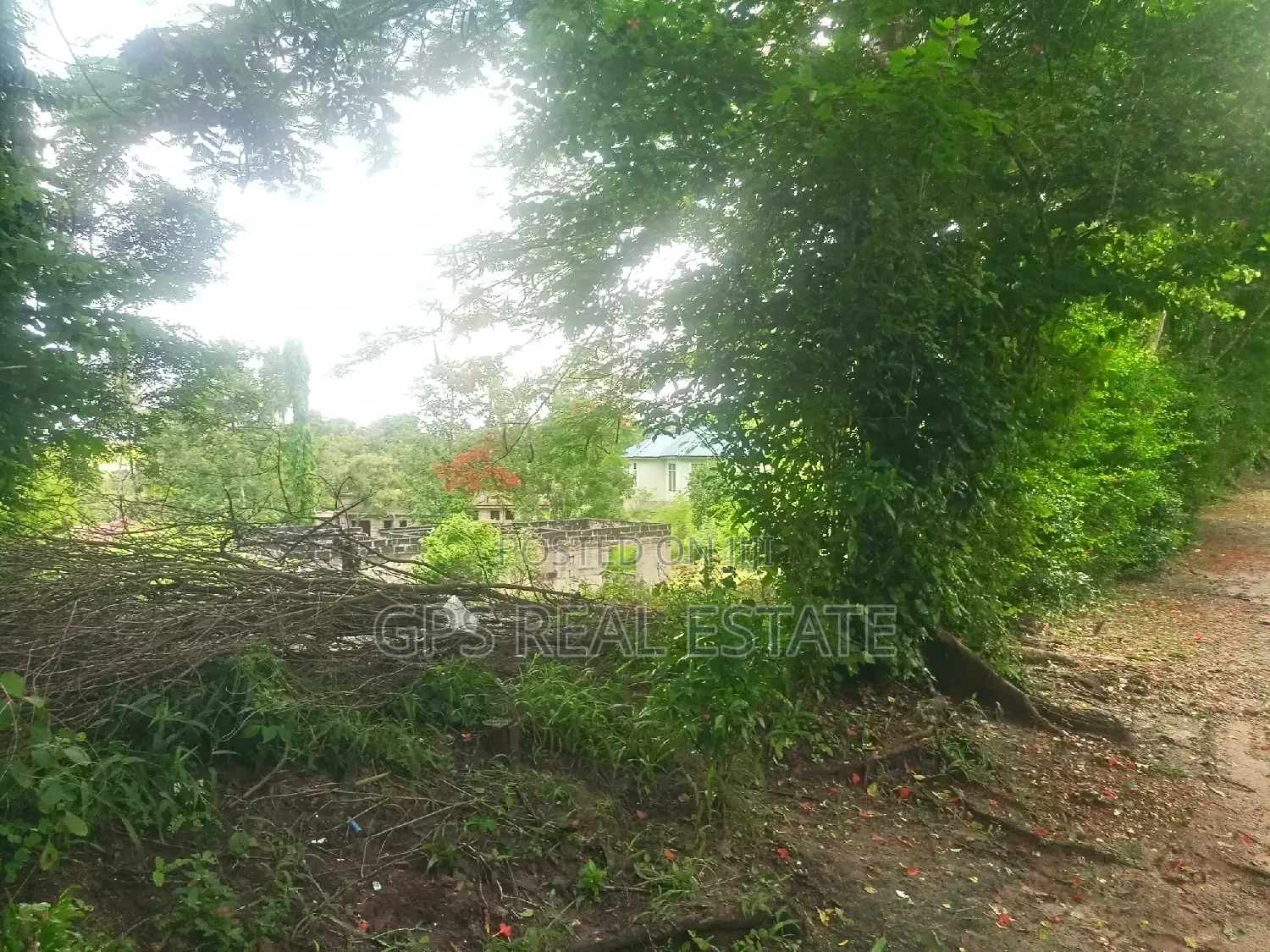 Plot for Sale at Mbezi Louis ( Mbezi Mwisho Magufuli Stand )
