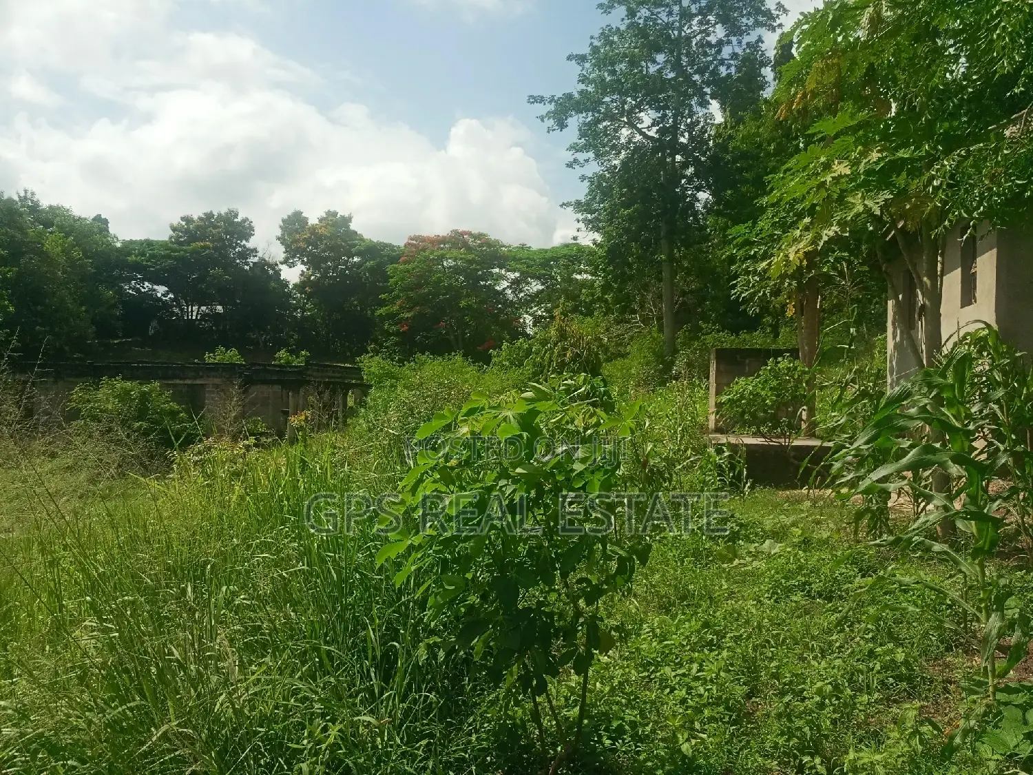 Plot for Sale at Mbezi Louis ( Mbezi Mwisho Magufuli Stand )