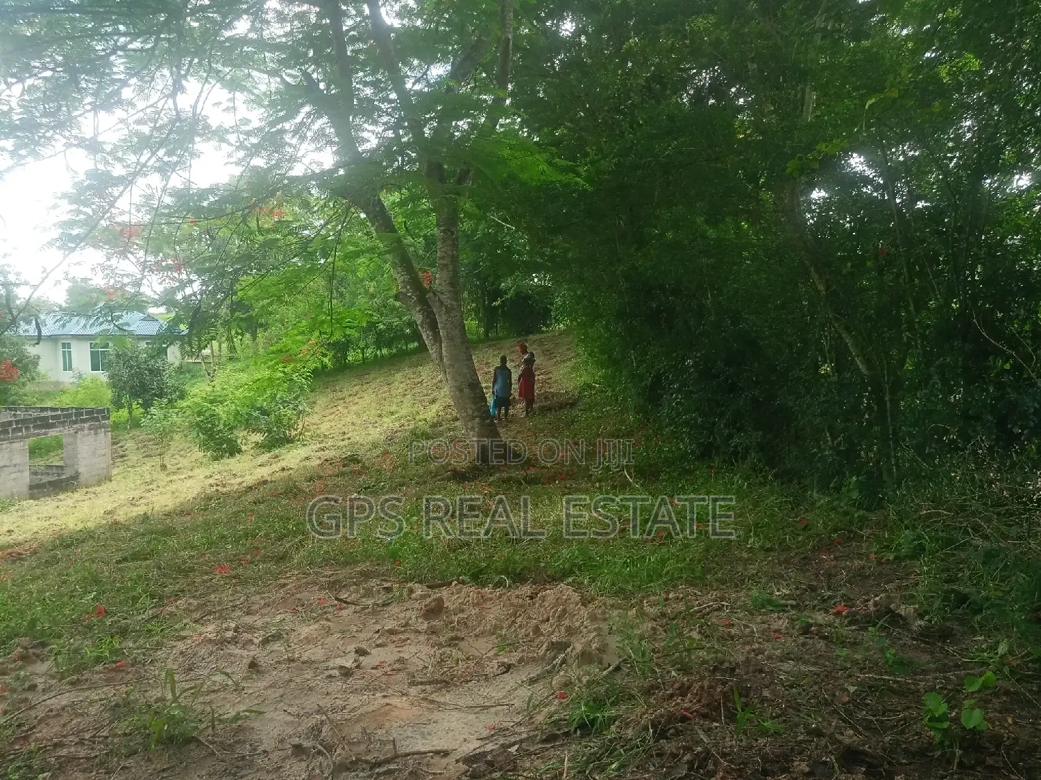 Plot for Sale at Mbezi Louis ( Mbezi Mwisho Magufuli Stand )