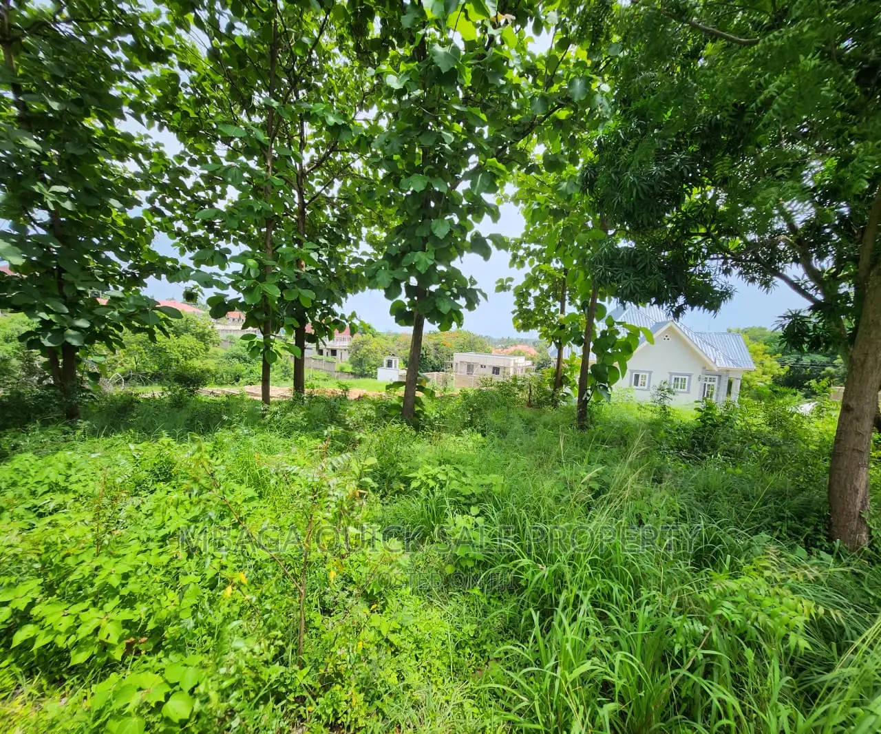 Plot for Sale at Salasala TSH 180,000,000mil Area Sqm1500