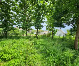 Plot for Sale at Salasala TSH 180,000,000mil Area Sqm1500