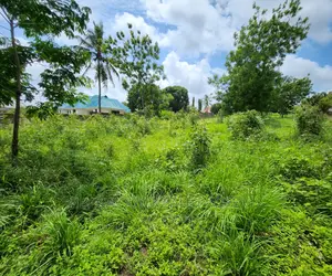 Plot for Sale at Salasala TSH 180,000,000mil Area Sqm1500