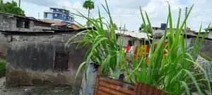 4bdrm House in Buguruni for sale