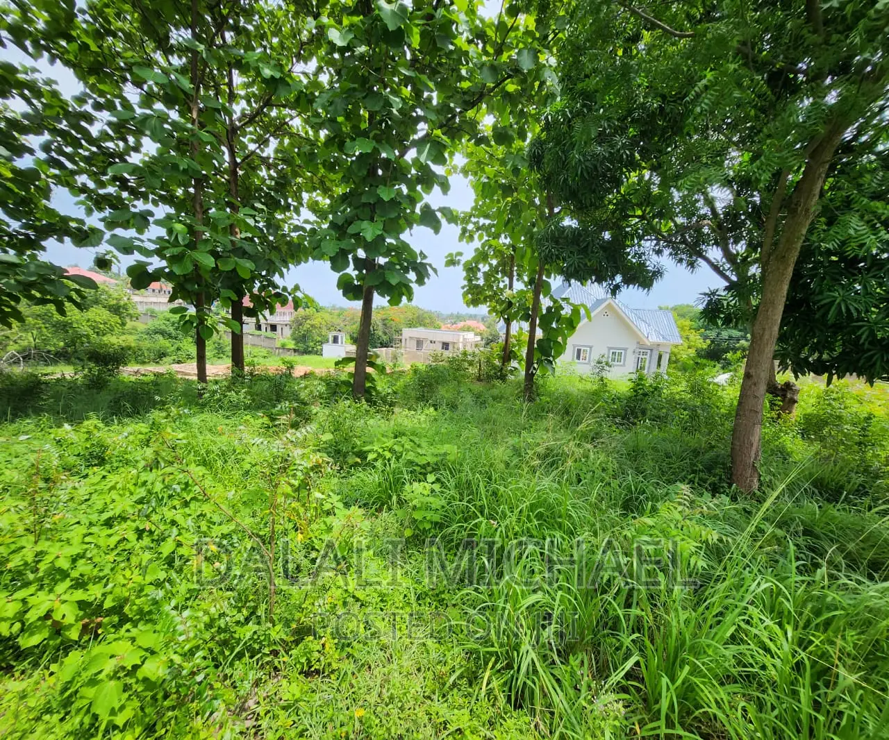Plot for Sale at Salasala!#
