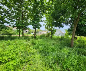 Plot for Sale at Salasala!#